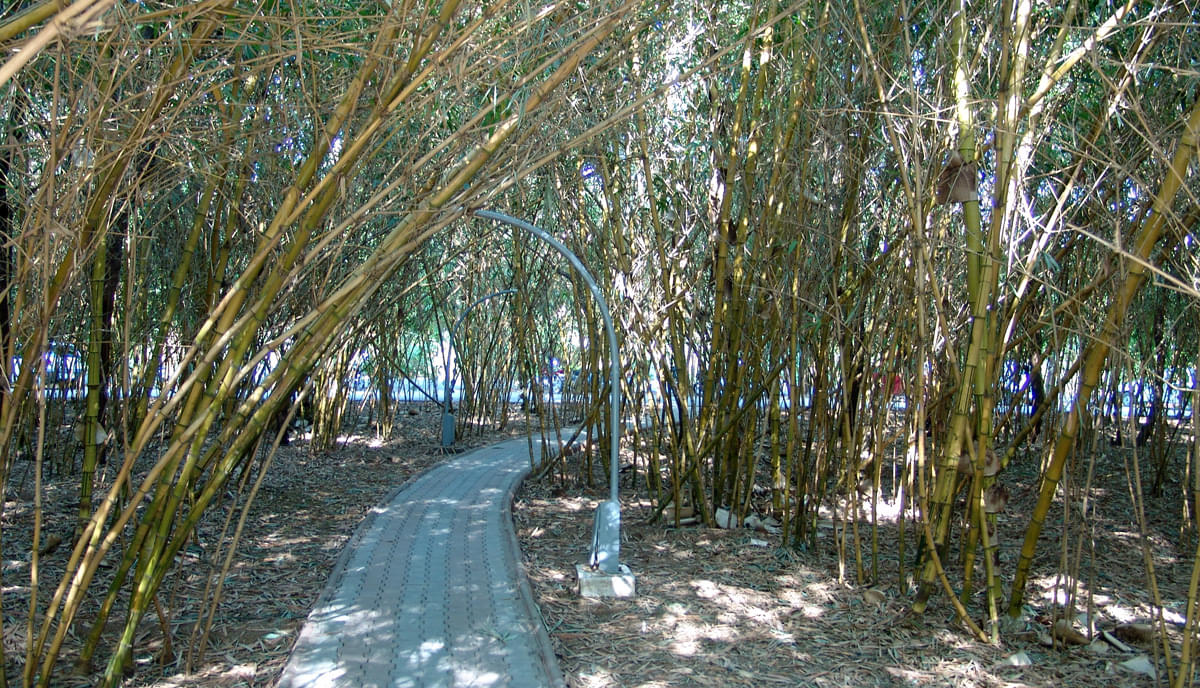 DAIICT Campus photo 6